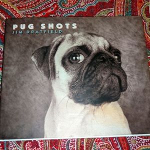 Pugshots by Jim Dratfield